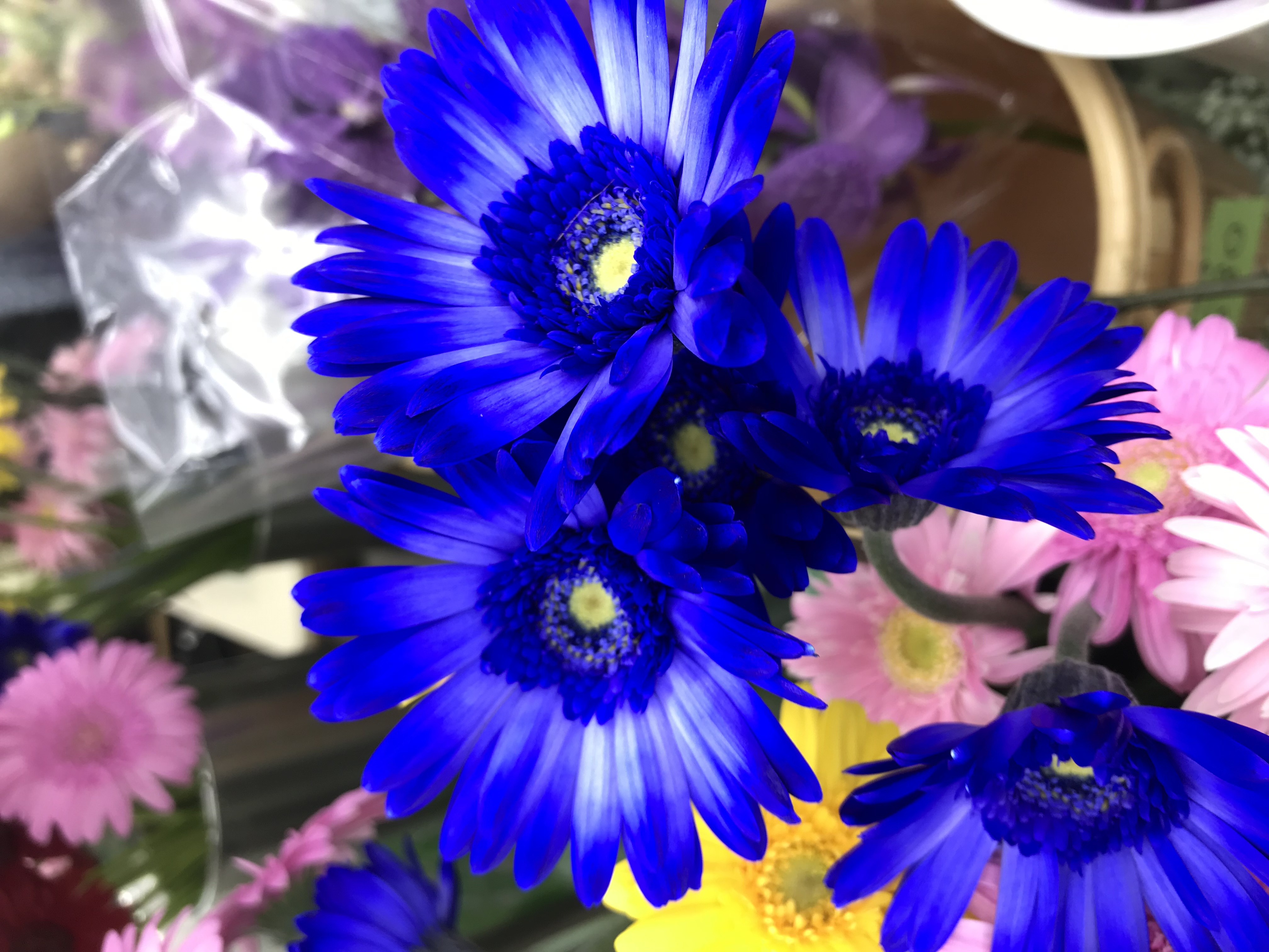 青い花といえば フラワーショップ花一